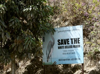 bp-2-ecology-sign Ecology sign along the roadway.